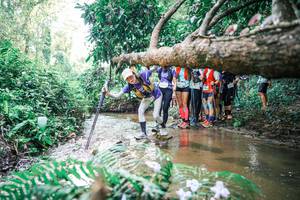 BIB: 
                            <button type="button" onclick="openModal(25471636)" class="btn btn-primary btn-sm float-right btn-popup" data-toggle="modal" data-target=".modal-high-quality">
                        <i class="fas fa-shopping-cart"></i> Add to Cart
                    </button>
                                            <button type="button" onclick="isThisMe(25471636, true)" class="btn btn-success btn-sm float-right btn-popup btn-isme hidden" data-toggle="tooltip" data-placement="bottom" title="นี่คือรูปของคุณใช่ไหม คลิกที่นี่เพื่อเอาเข้าอัลบั้ม">
                        <i class="fas fa-plus"></i> Add to album
                    </button>
                    <button type="button" onclick="isThisMe(25471636, false)" class="btn btn-warning btn-sm float-right btn-popup btn-isnotme hidden">
                        <i class="fas fa-ban"></i> Remove from album
                    </button>